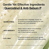 ANUA HEARTLEAF QUERCETINOL PORE DEEP CLEANSING FOAM (5.07 fl oz/150ml)