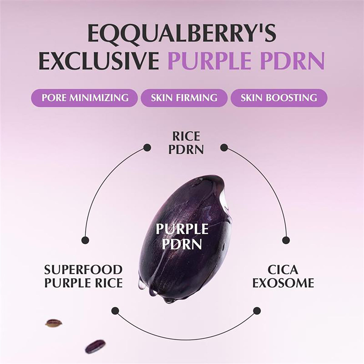 EQQUALBERRY Purple PDRN Pore Minimising Serum - Vegan Collagen & Peptides (1.01 fl oz/30ml)