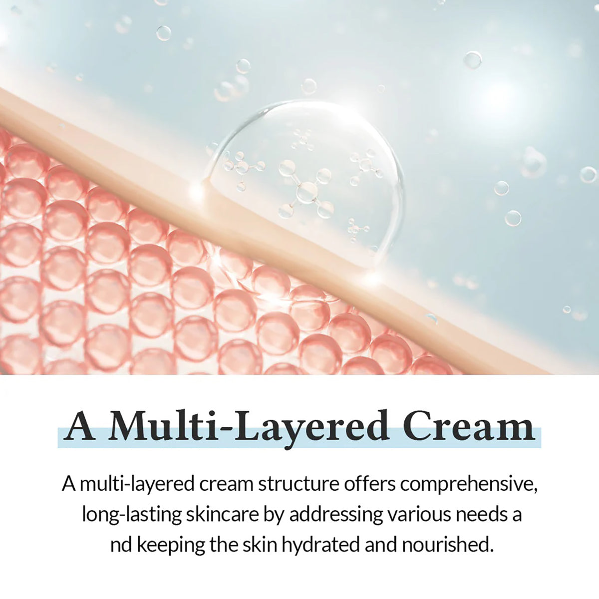 Dr. Althea 147 Barrier Cream | Essential Recovery & Daily Defense (1.69 fl oz/50ml)