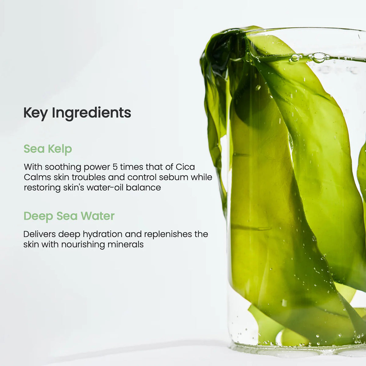 BIODANCE Refreshing Sea kelp Real Deep Mask - Korean Skincare (1.19 fl oz/34g)