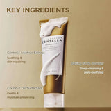 SKIN1004 Madagascar Centella Ampoule Foam - Mild and Soothing Face Cleanser (4.22 fl oz/125ml)